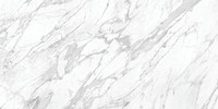 Amica Statuario 24×48 Field Tile Honed Rectified
