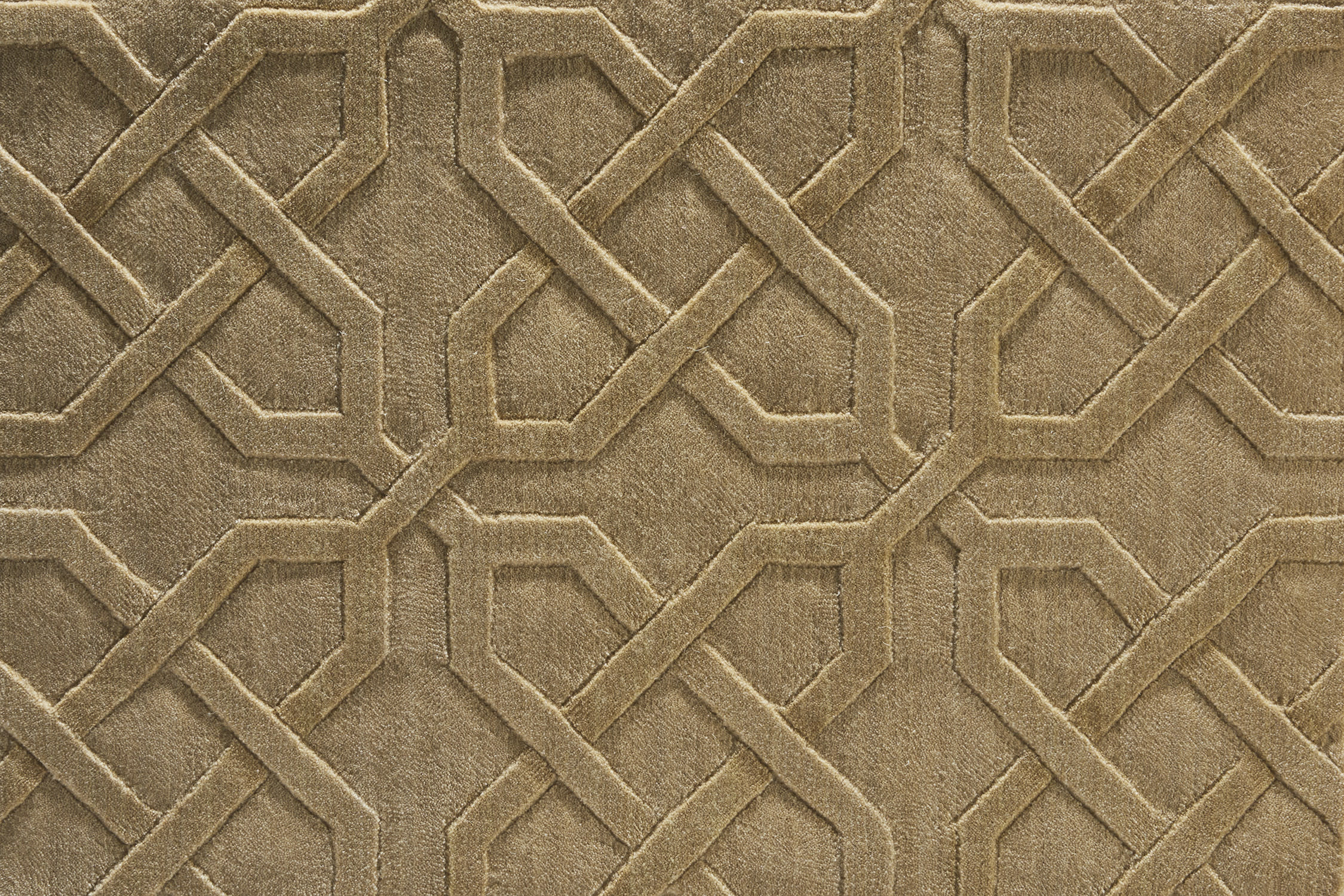 color-rug1