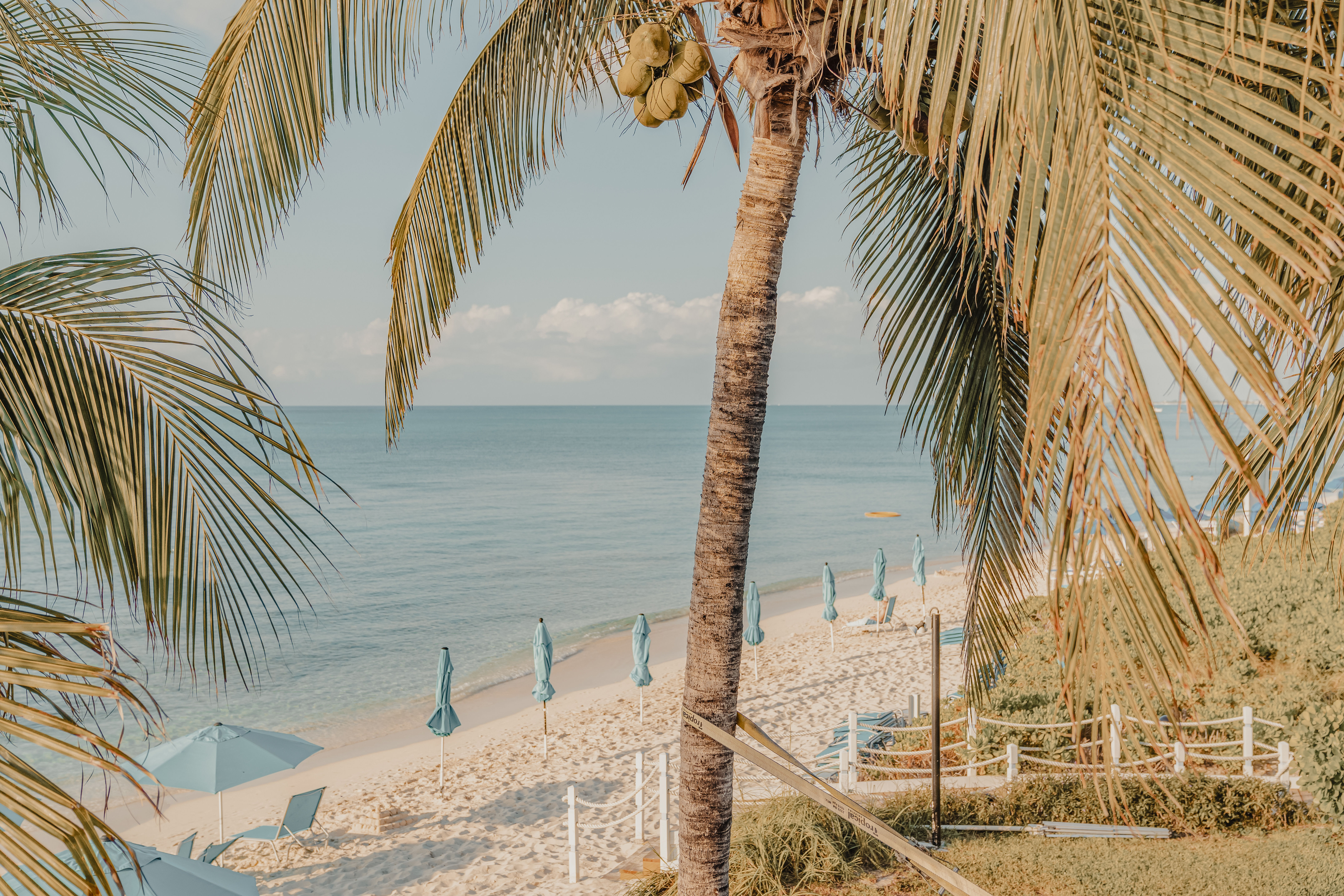 Miami → Miami (15 nights)