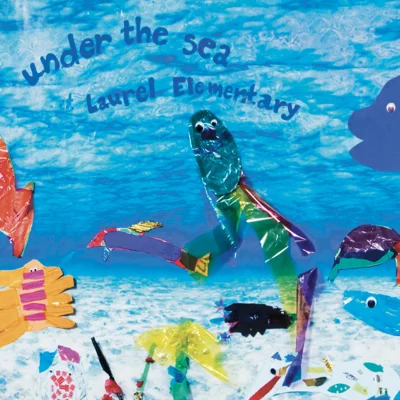 Fadeless Bulletin Board Paper, Fade-Resistant Paper for Classroom Decor, 47.25” x 50’, Under the Sea, 1 Roll example 2