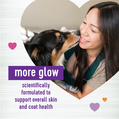 The benifts of Wellness Supplements Skin & Coat