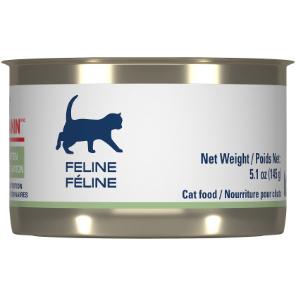 Royal Canin Veterinary Diet Feline Development Kitten Canned Cat Food