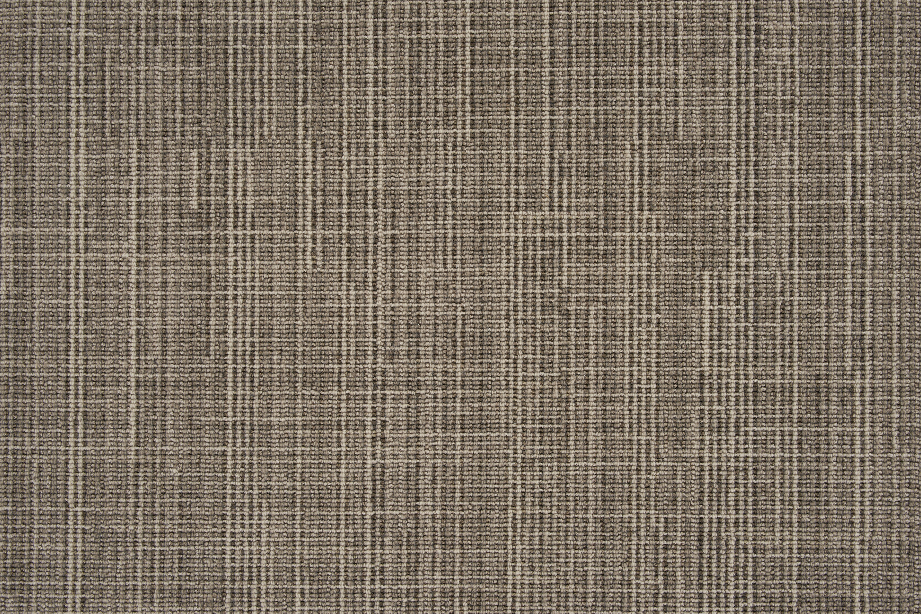 color-rug1