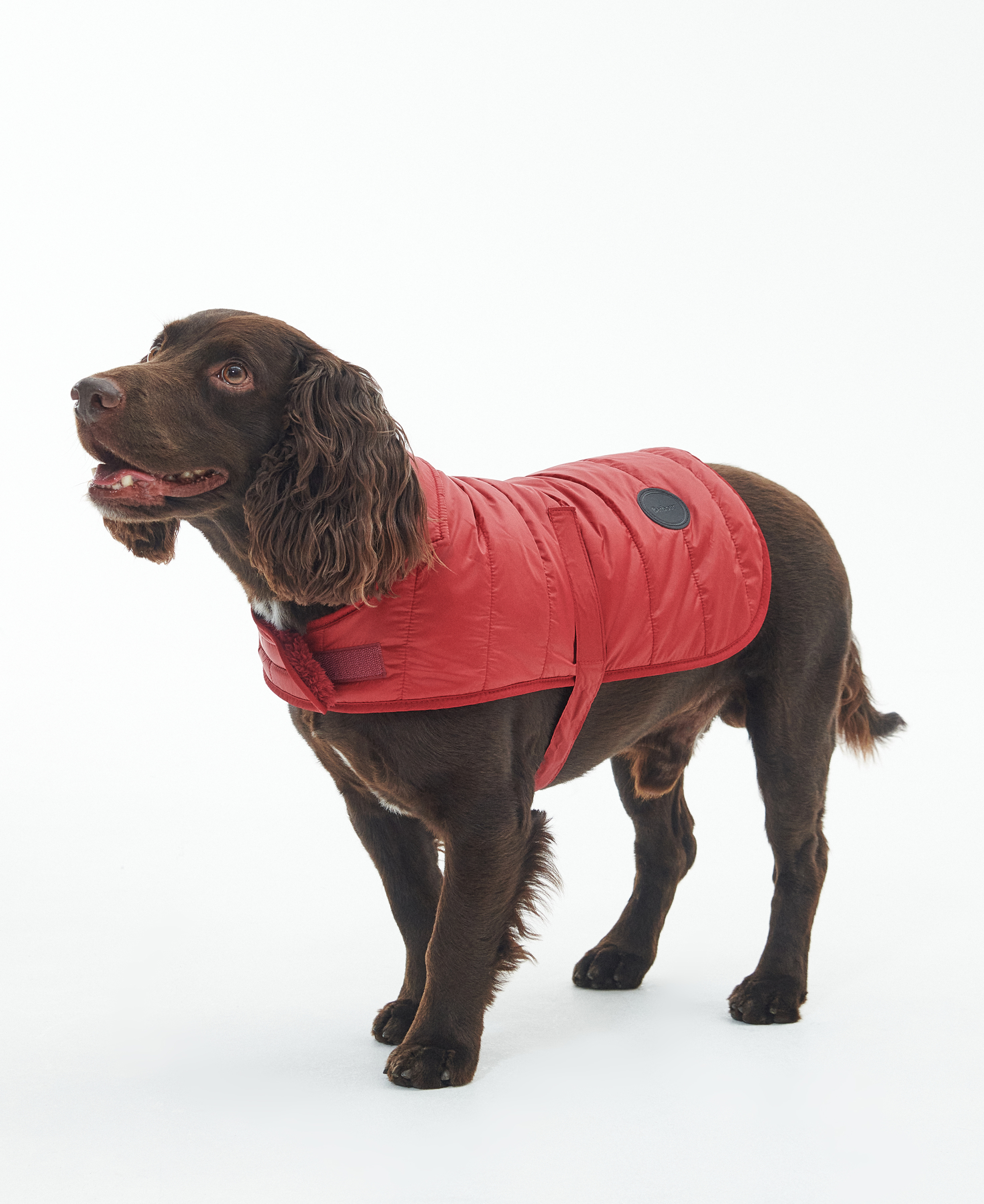 Baffle Quilted Dog Coat image number 0