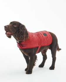 Baffle Quilted Dog Coat 