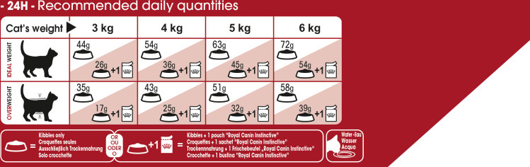 Feeding Guide