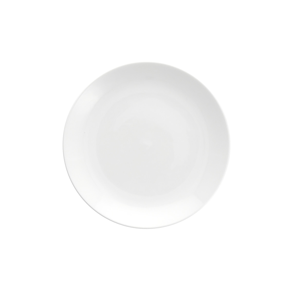 Caldera Coupe Dinner Plate 10.5"