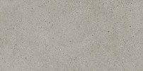 Everett Light Gray 12×24 Field Tile Matte Rectified