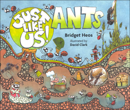 Just Like Us! Ants