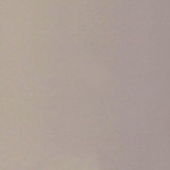 Plain light beige painted wall with subtle texture, filling the frame and evenly lit; minimal indoor setting with soft diffuse lighting and no visible fixtures or decorations.