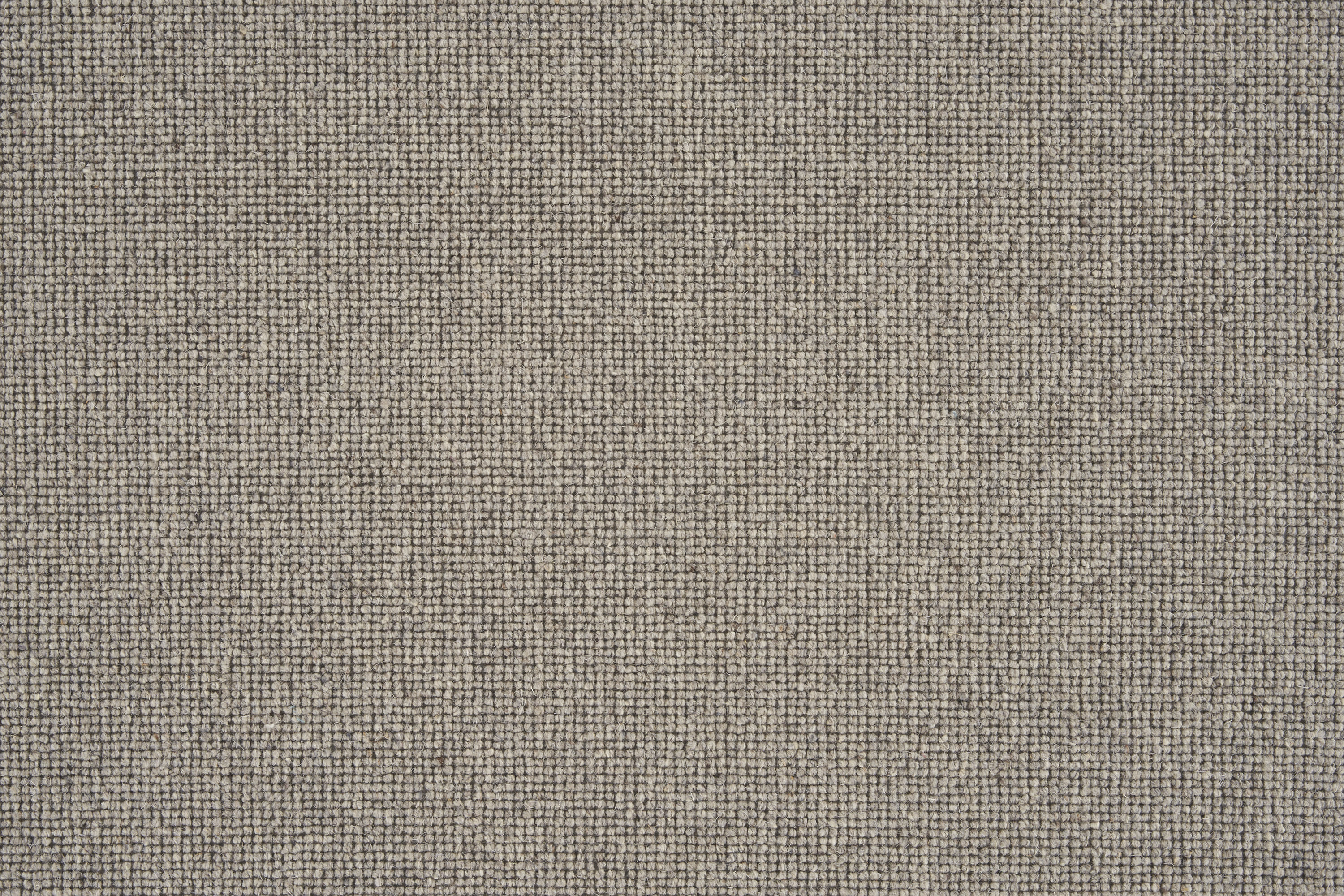 color-rug1