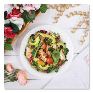 Dart, Quiet Classic Laminated Foam Dinnerware, Plate, 10" dia, White