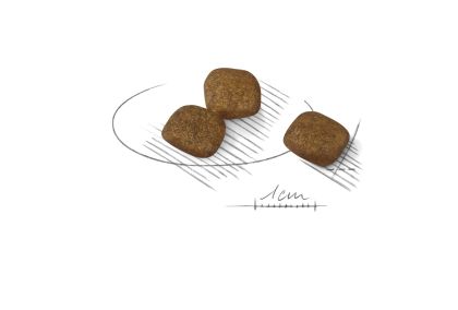 Mini Coat Care kibble
