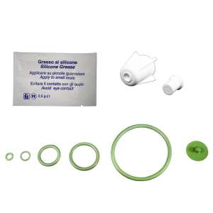 Impact, Jr. Pump Up™, Repair Kit for Jr. Pump Up Viton Sprayer, Multi-Colored