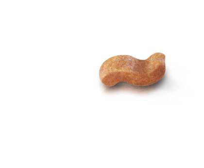 Boxer Adult kibble