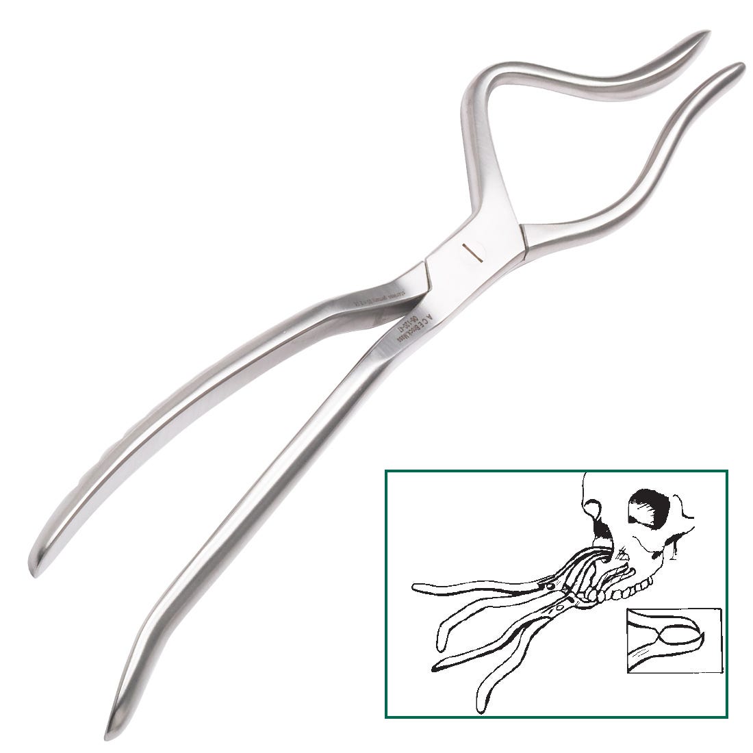 Rowe Maxillary Disimpaction Forcep, adult, right