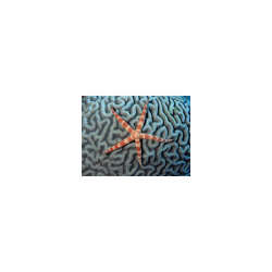 s--olwf3qml--/fx8nbcamcrxkqn9j4iwb.jpg