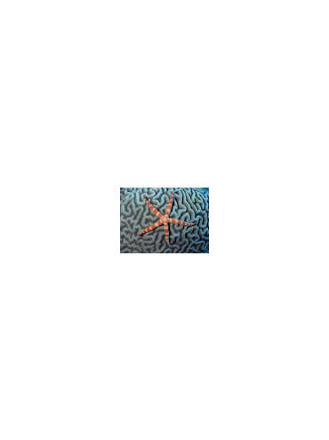 s--olwf3qml--/fx8nbcamcrxkqn9j4iwb.jpg