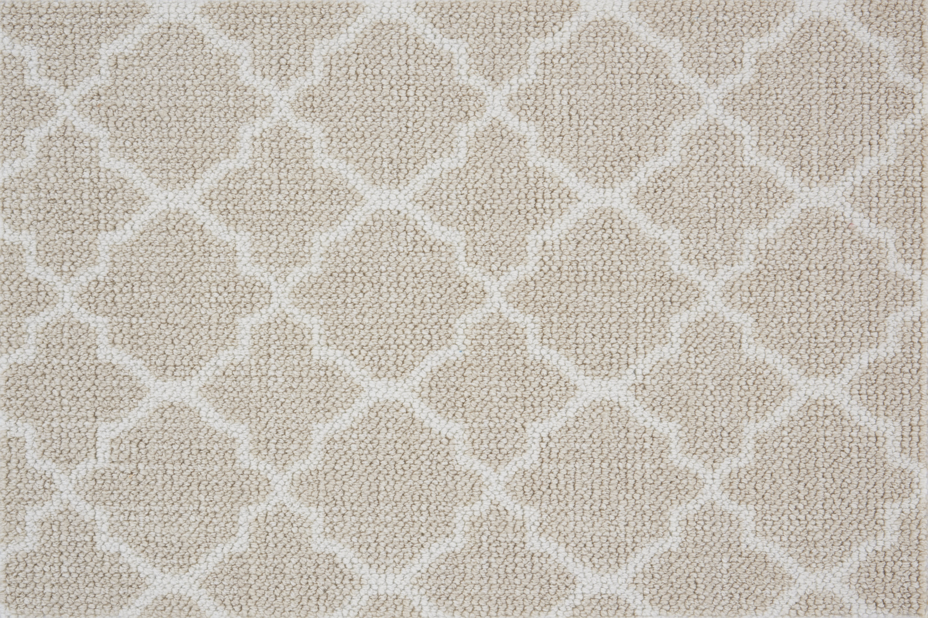 color-rug1
