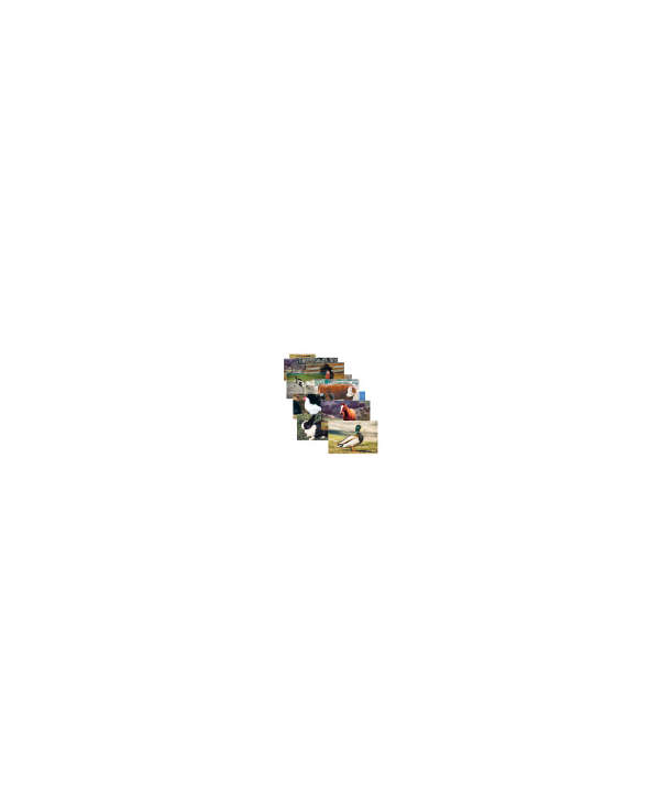 s--onsQqTU7--/jdht7lvij2h6eb44bk4m.jpg