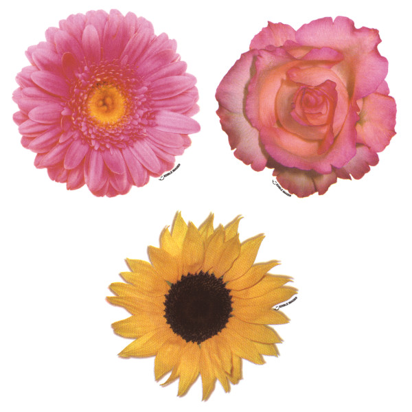 Flowers Variety Edible Image®