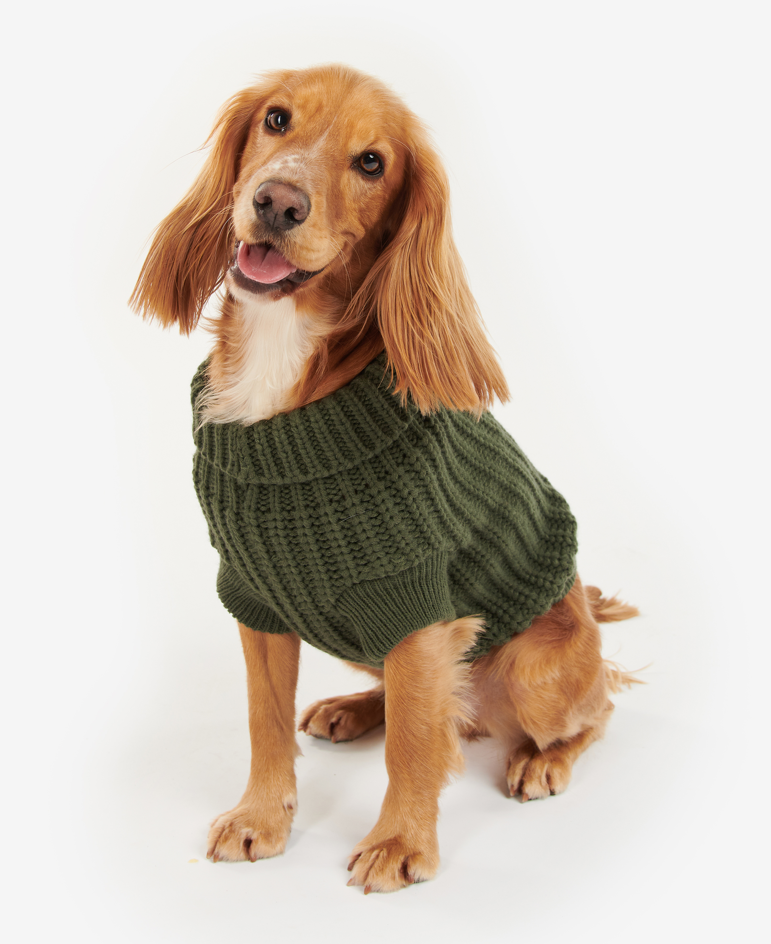 Saltburn Dog Jumper image number 0