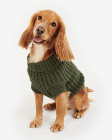 Saltburn Dog Jumper Olive