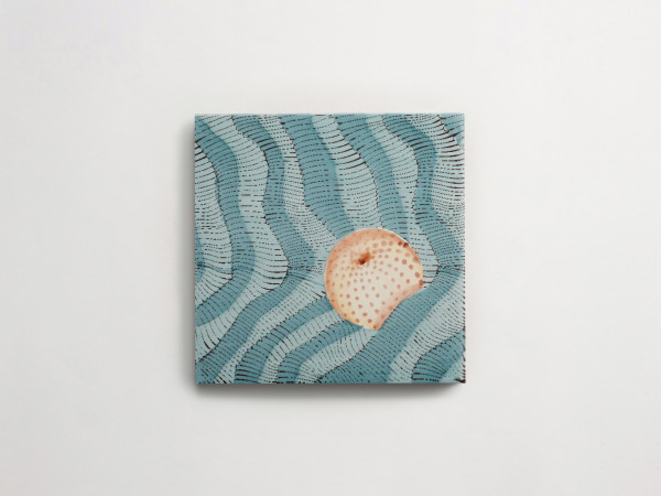 Giovanni De Maio + Cristina Celestino: Thalassa | Decoro 2 | Grande | Matte | Giada 