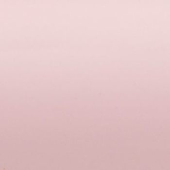 Plain pale pink wall, smooth with slight texture and faint scuffs, filling the frame; unadorned and evenly lit, suggesting an empty room or backdrop with soft, diffuse lighting.
