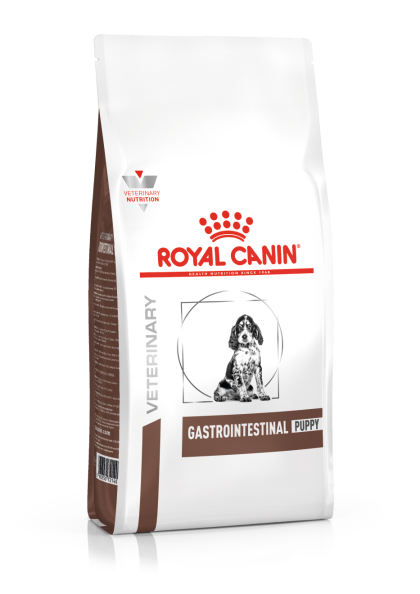 Gastrointestinal Puppy