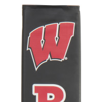 Wisconsin Badgers thumbnail 4