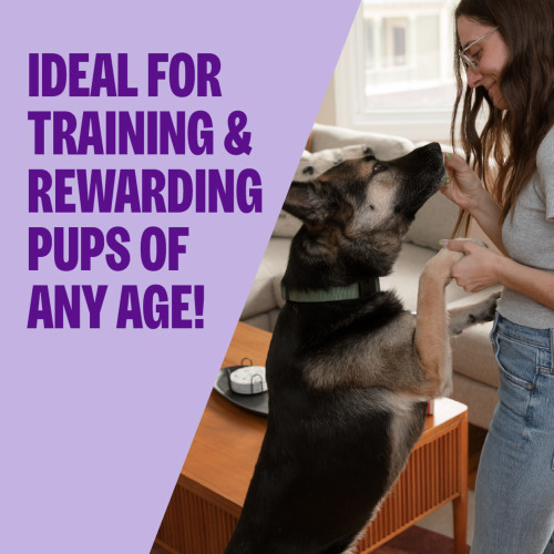 The benefits of Wellness CORE Tiny Trainers Lamb & Apple