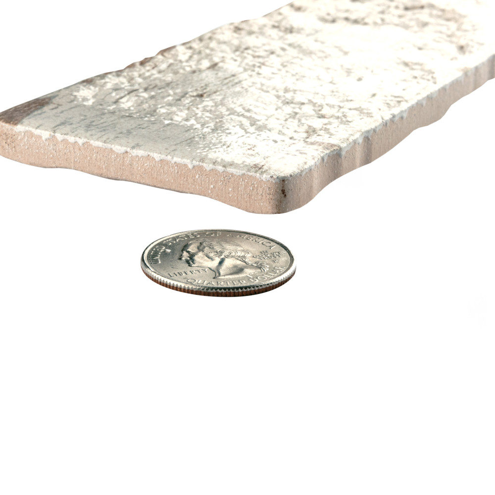 Sequoia Blanc 2-1/2 in. x 9-7/8 in. Ceramic Wall Tile