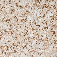 Swatch for EasyLiner® Adhesive Surfaces - Granite Sandstone, 20 in. x 15 ft.