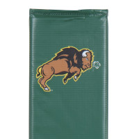North Dakota State Bison thumbnail 4
