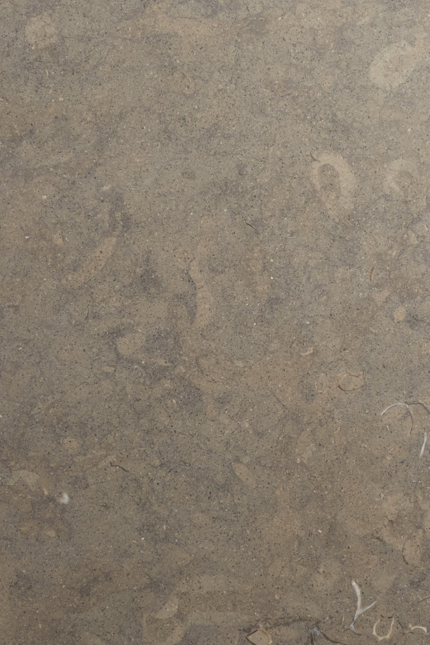 a close up image of a grey-ish brown tile surface.