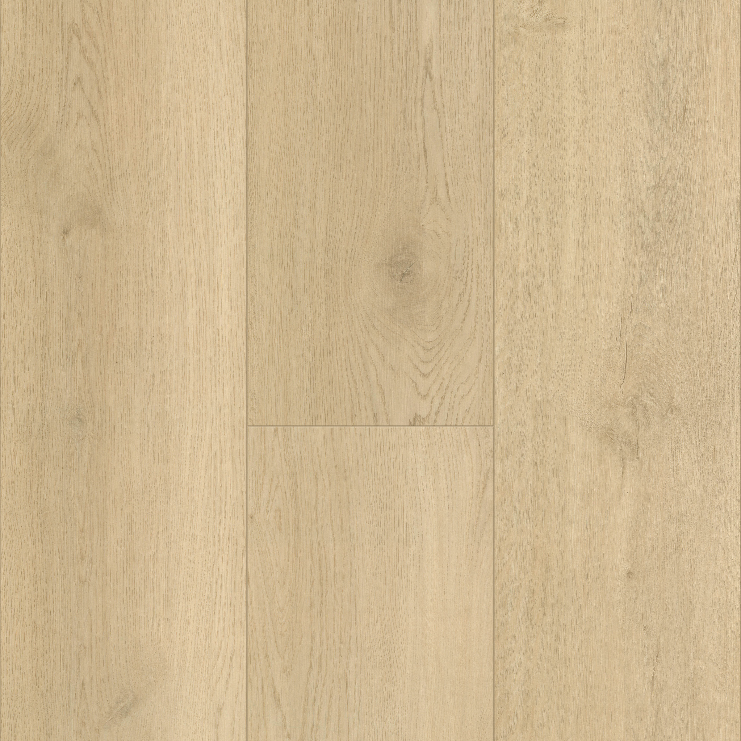 Driftwood Shore Multi-Purpose Trim 12mm view 3