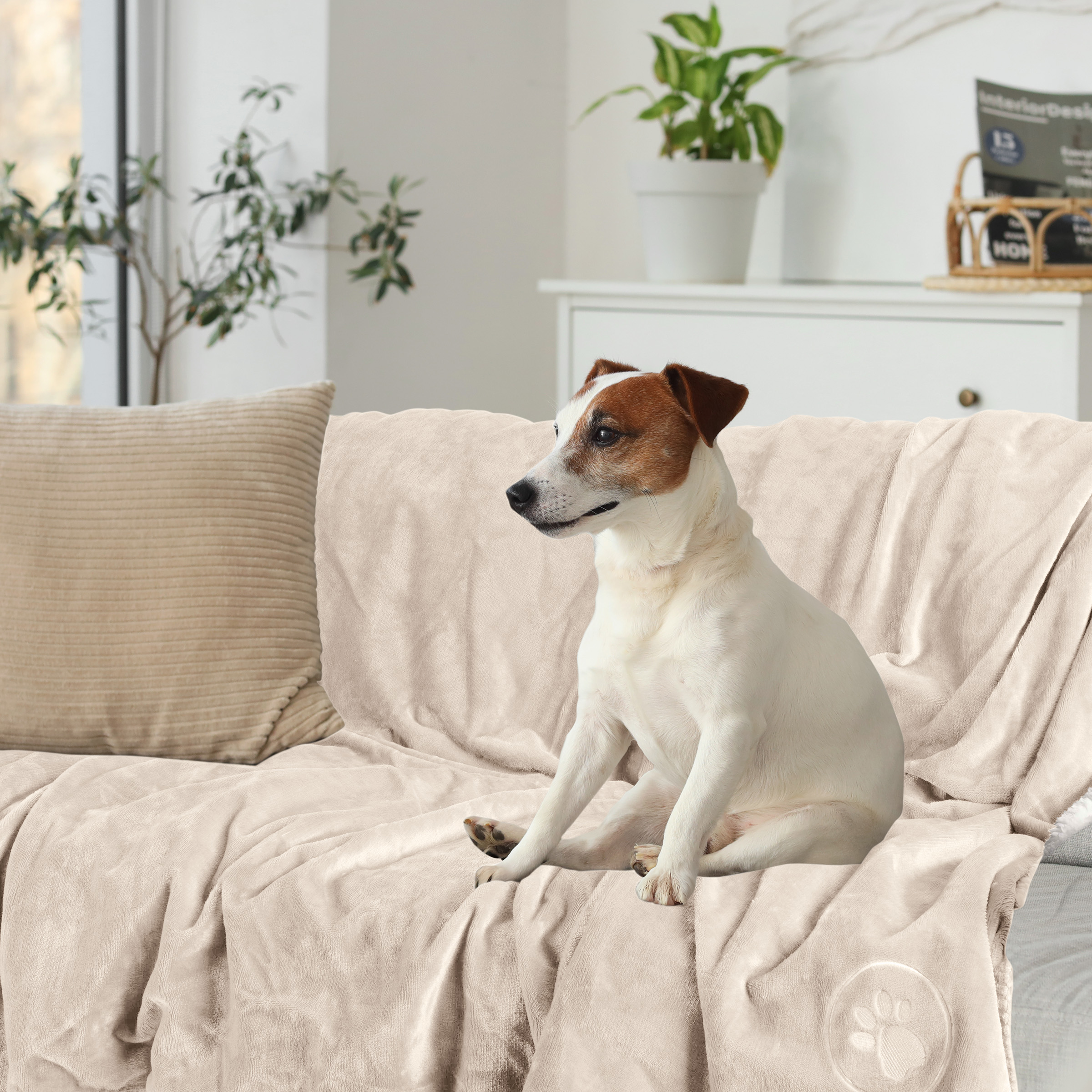 PETMAKER 60x80in Dog Blanket Throw Blankets for Bed Puppy Essentials - Picture 8 of 26