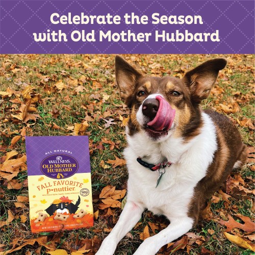 The benefits of Old Mother Hubbard Seasonal Fall Favorite P-Nuttier