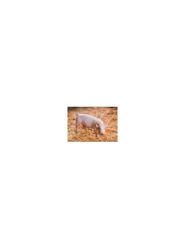 s--pRbEH_FU--/vhnlqjaqbfr58k26allm.jpg
