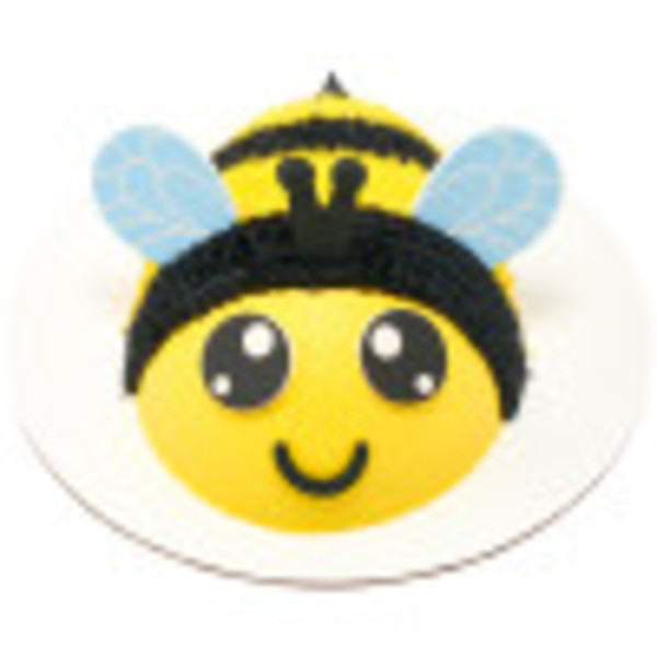 Spring Creations Cake Design | DecoPac