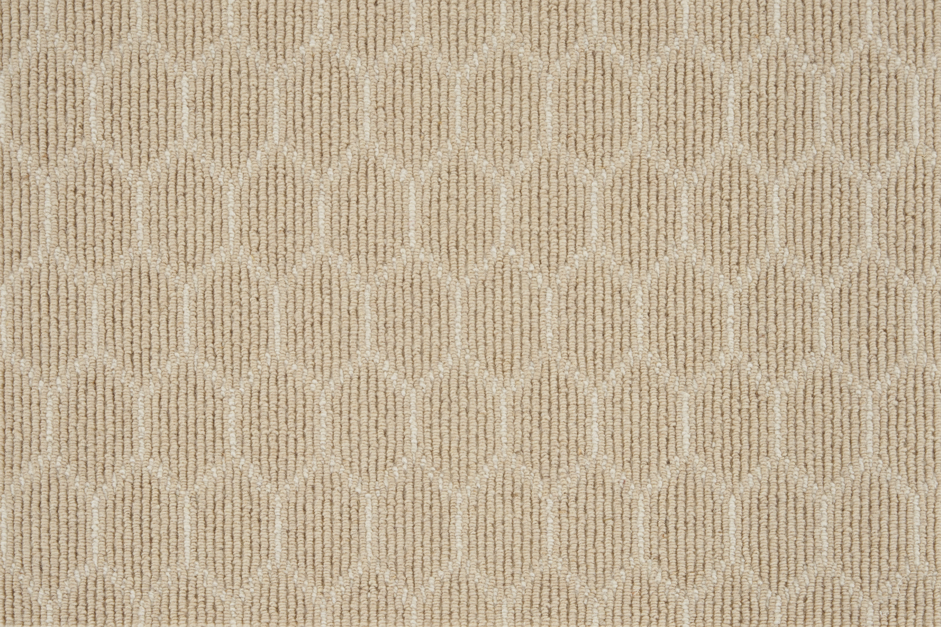 color-rug1