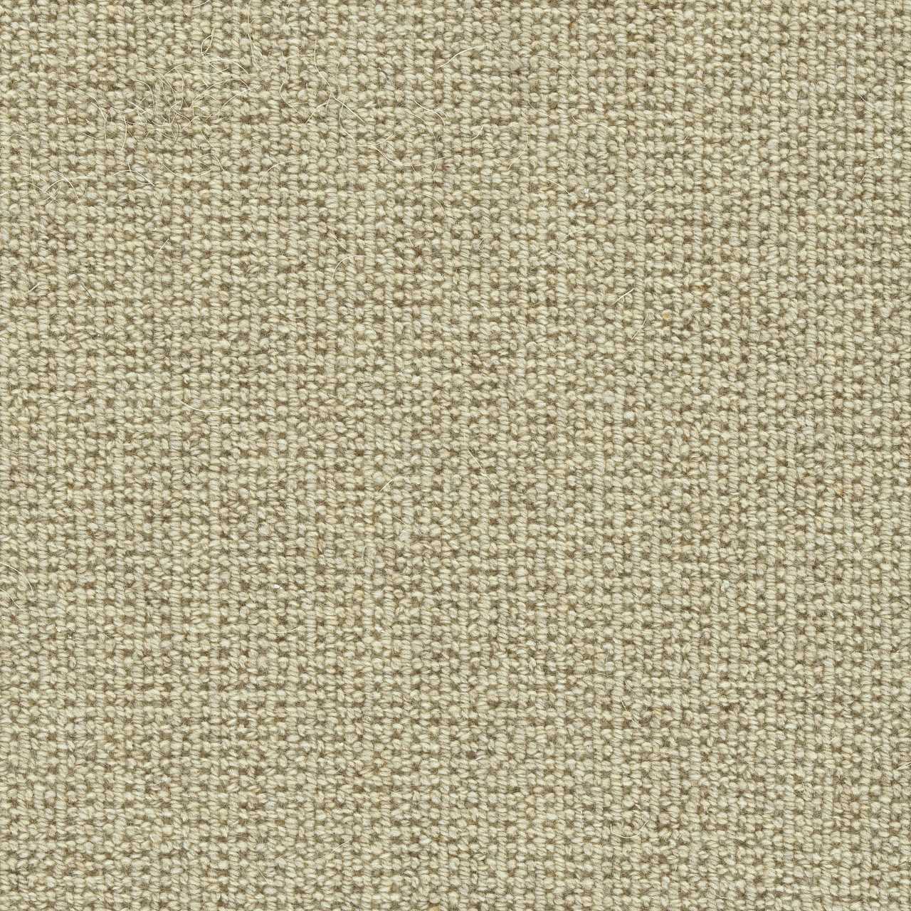 color-rug1