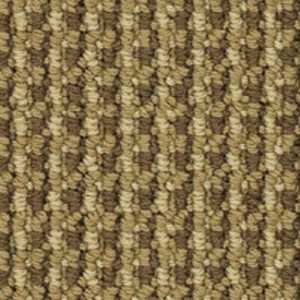 color-rug1