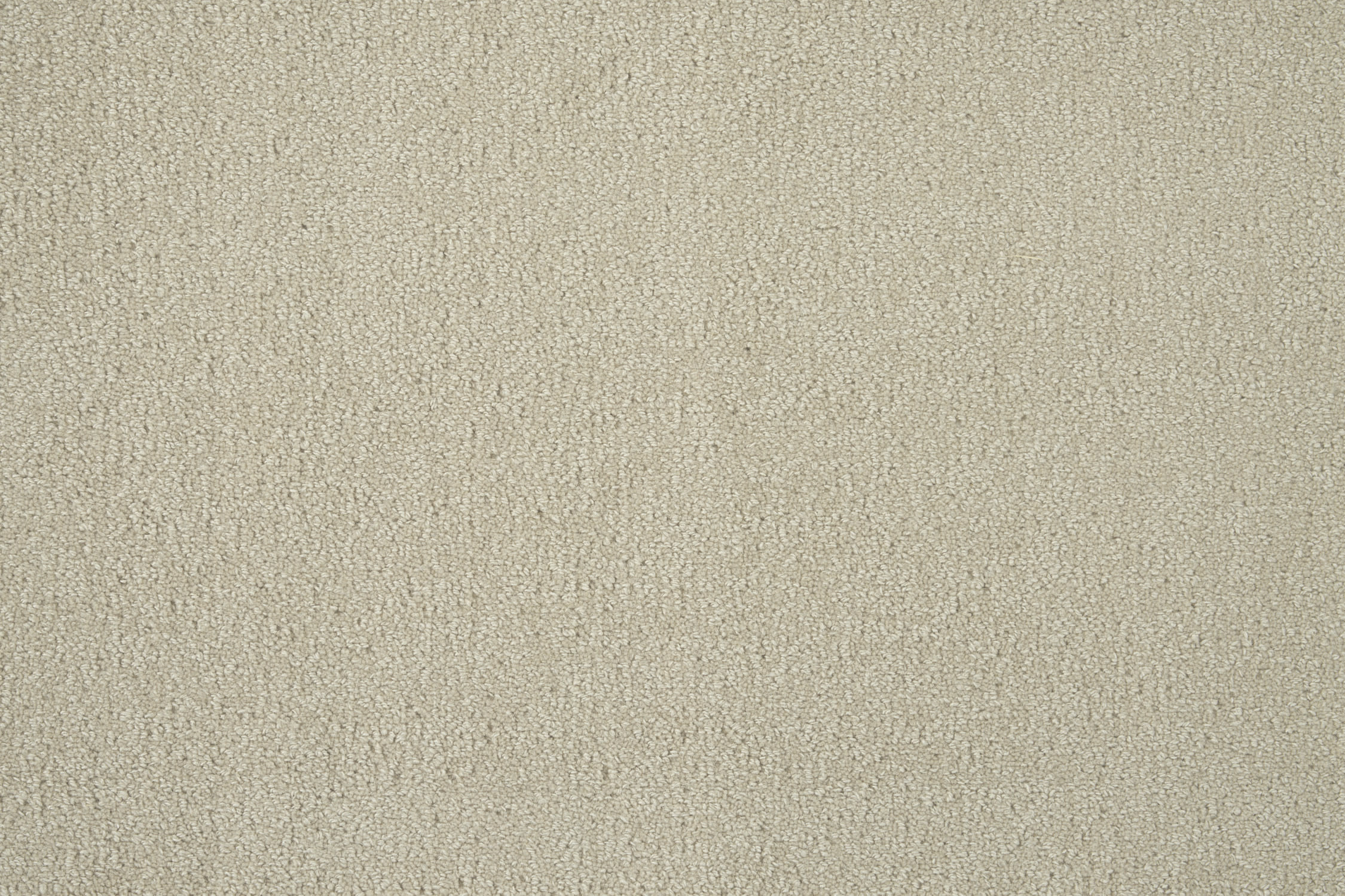 color-rug1