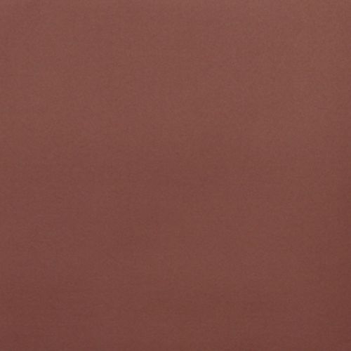 Plain reddish-brown painted wall, smooth and slightly textured â€” filling the frame, evenly lit with soft diffuse light, no visible fixtures or windows, uniform color across the surface.