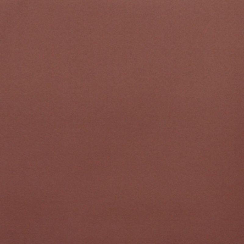 Plain reddish-brown painted wall, smooth and slightly textured â€” filling the frame, evenly lit with soft diffuse light, no visible fixtures or windows, uniform color across the surface.