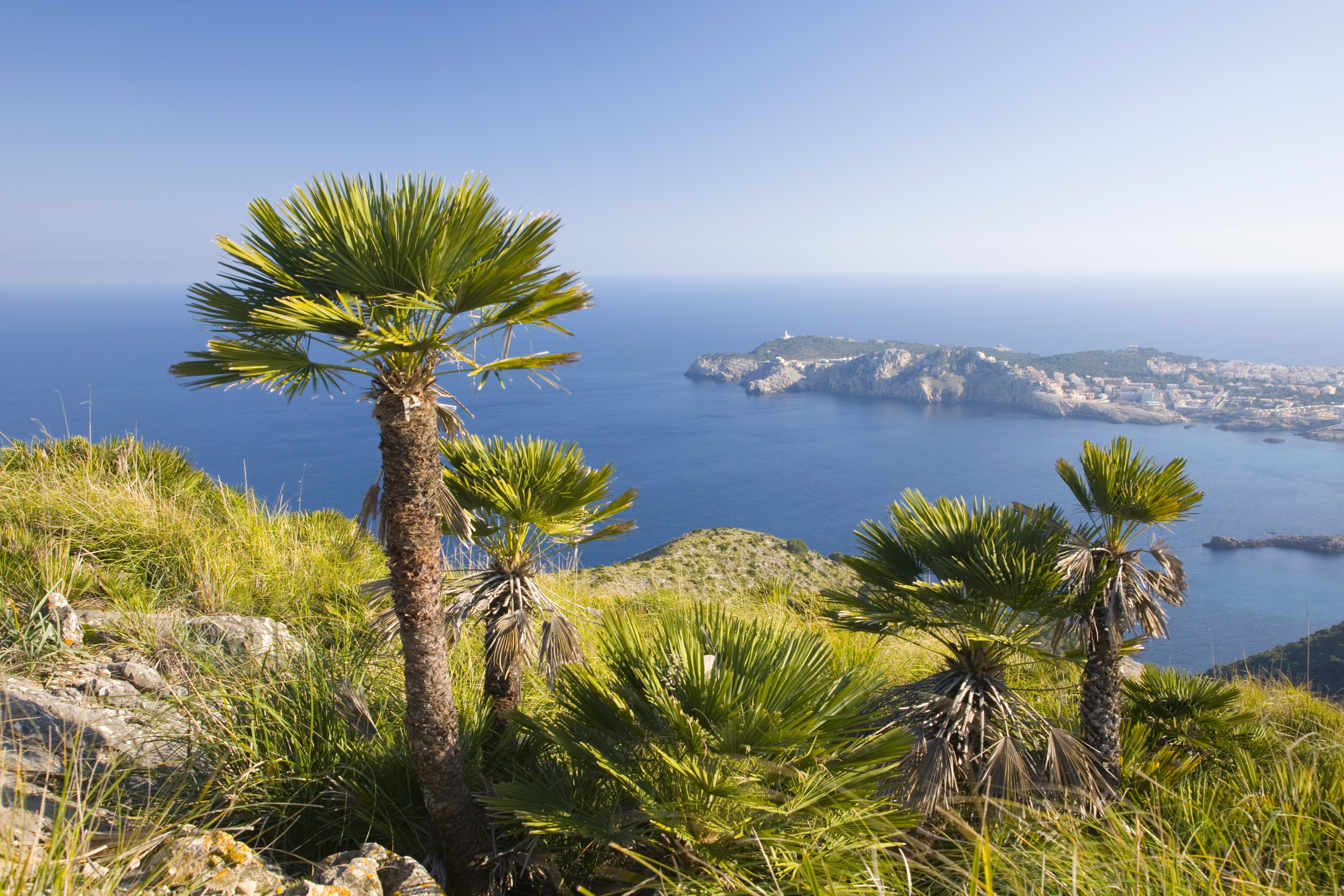 Civitavecchia (Rome) → Barcelona (7 nights)