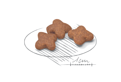 Mini Adult 8+ kibble