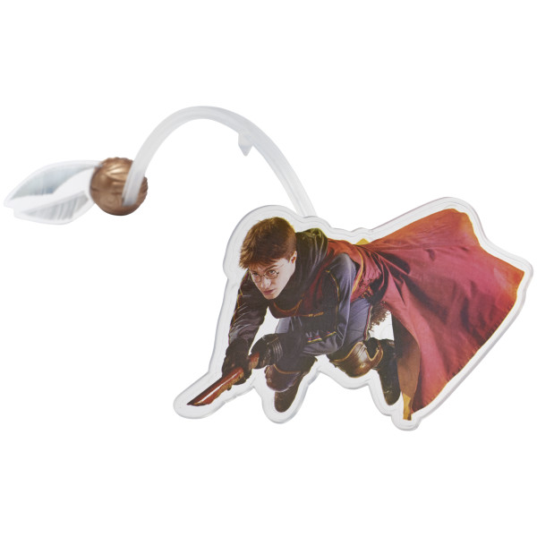 HARRY POTTER™ Quidditch™ Chase DecoSet®